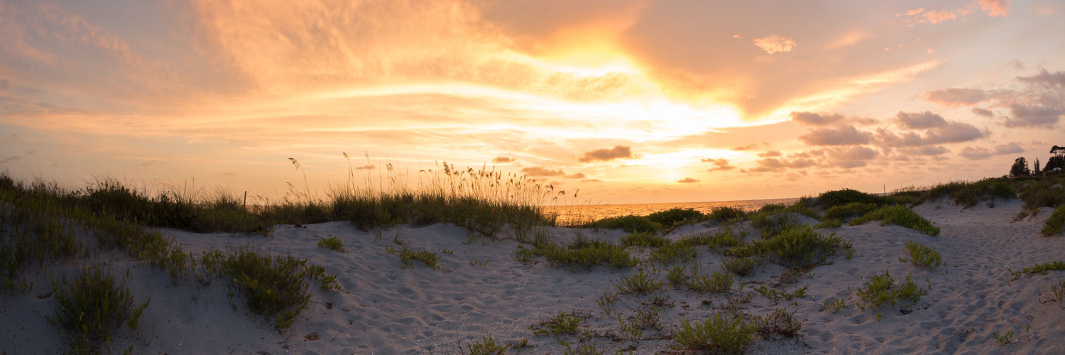 Banner image of Venice
